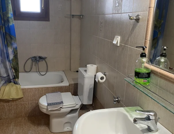 one bedroom apartment BATH