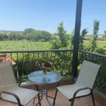 one bedroom apartment BACK BALCONY