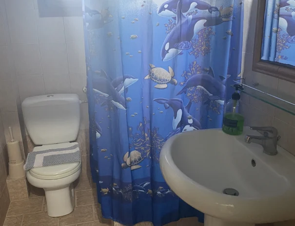 one bedroom apartment bathroom